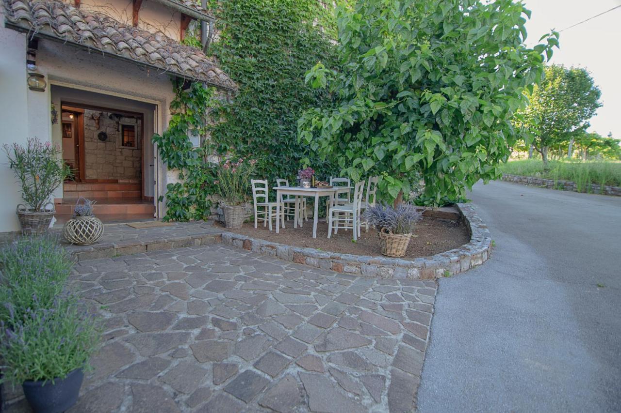 Apartment Ana - Karst Cycling Paradise Dutovlje Exterior photo