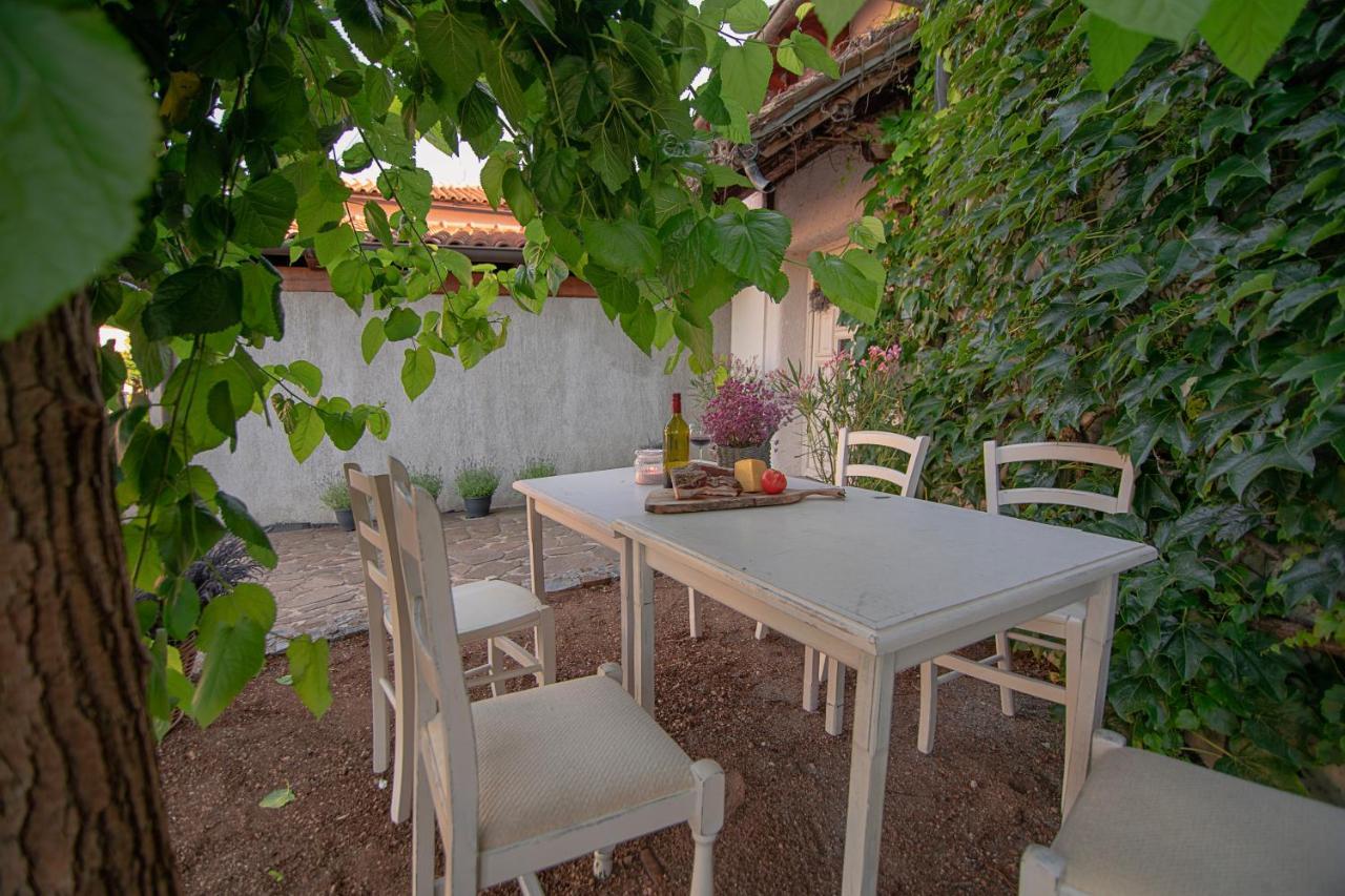 Apartment Ana - Karst Cycling Paradise Dutovlje Exterior photo