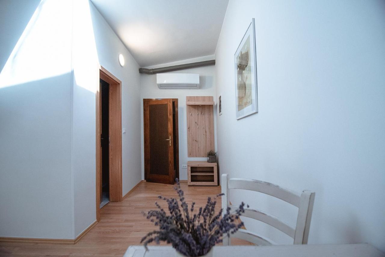 Apartment Ana - Karst Cycling Paradise Dutovlje Exterior photo